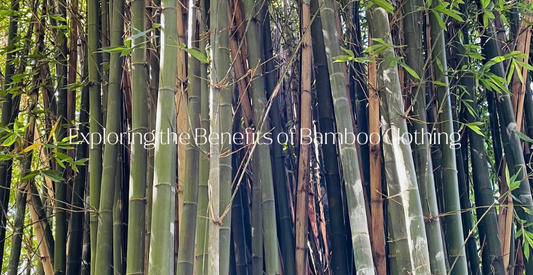 The Natural Elegance: Exploring the Benefits of Bamboo Clothing